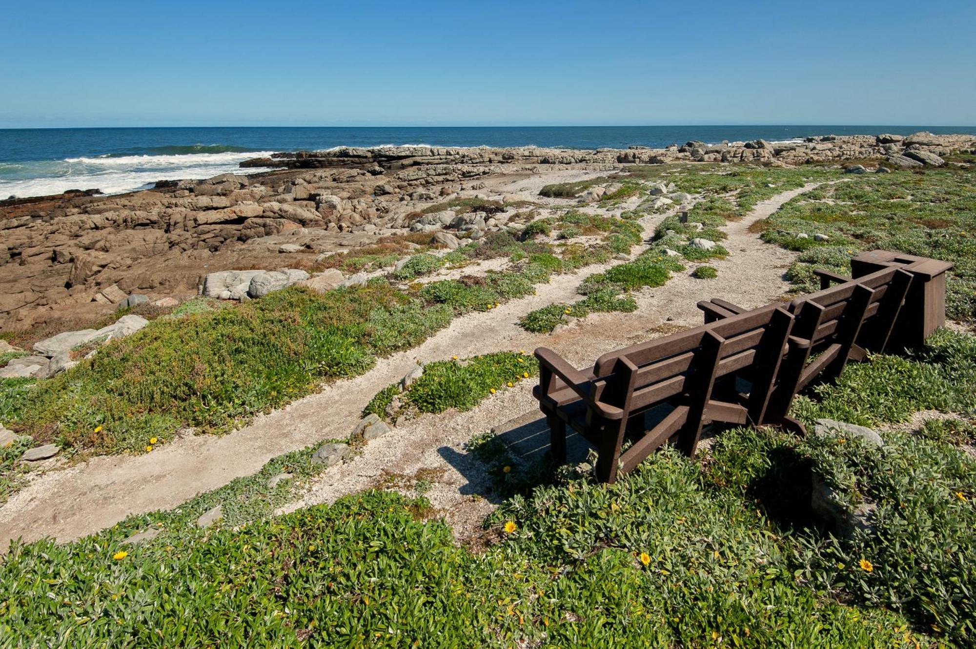 49 Whalerock Apartman Hermanus Kültér fotó