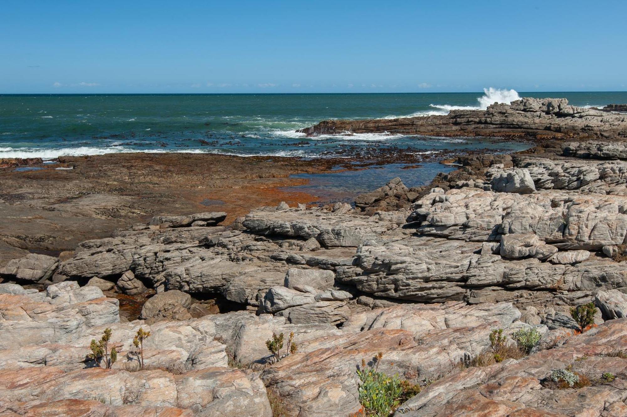 49 Whalerock Apartman Hermanus Kültér fotó